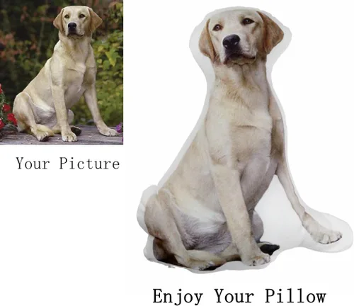 Vista 2 de Almohada conmemorativa personalizada para mascotas con pérdida de perro y gato en el hogar, multicolor, 16 pulgadas