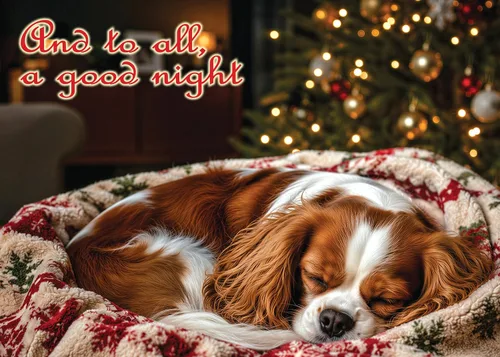 Vista 11 de Glory To Dog And To All A Good Night Sleepy Beagle Puppy - Juego de 12 tarjetas y sobres de Navidad