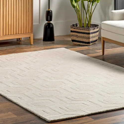 Vista 8 de nuLOOM Alfombra tejida a mano Ambrose, 6x9, marfil