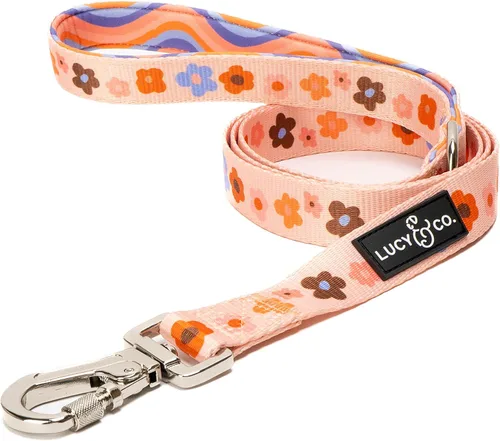 Vista 12 de Correa para perros de diseño Lucy & Co. - Accesorios para mascotas - Correa gruesa para perros - Asa acolchada para mayor comodidad - Entre