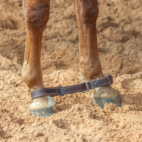 Vista 2 de Martin Saddlery Hobbles Latigo de doble costura
