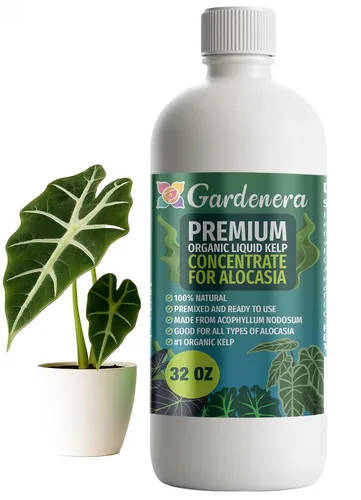 Vista 15 de GARDENERA Superalimento orgánico prémium de algas marinas y algas marinas para plantas AROID - 32 oz - Concentrado de fertilizante líquido de algas