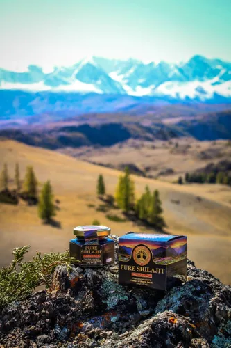 Vista 2 de Mumijo Siberiano auténtico y puro de Shilajit, de 3.5 onzas
