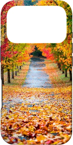 Vista 29 de iPhone 11 Otoño Hojas - Hermoso estuche de arboles