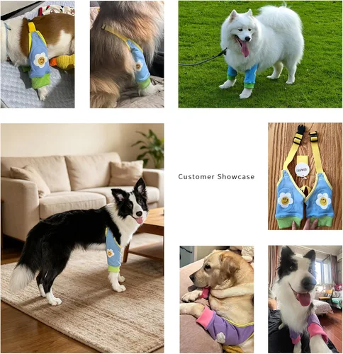 Vista 6 de Fundas protectoras de codo para perros para patas delanteras para dejar