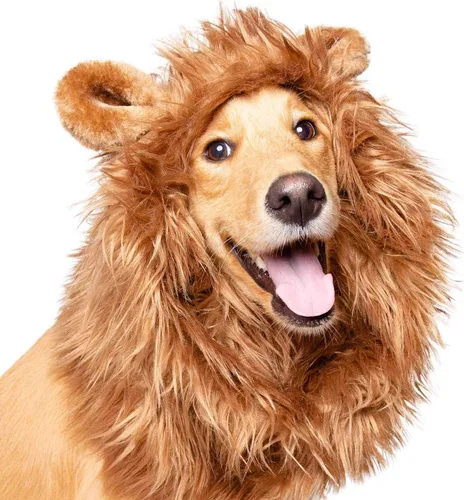 Vista 9 de Pet Krewe - Disfraz de melena de león para perro, para cuello de 8 a 14 pulgadas, melena de león para perros pequeños, ideal para Halloween
