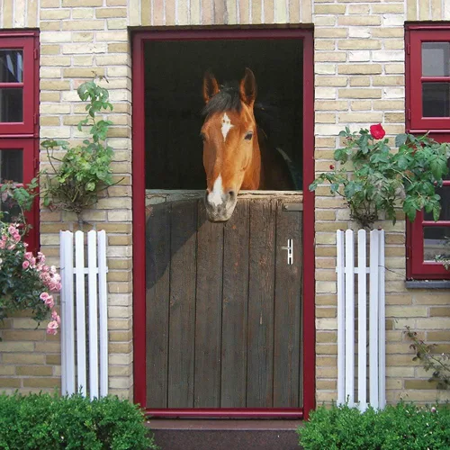 Vista 81 de Calcomanías 3D para puerta, murales para despegar y pegar, papel tapiz de caballo, calcomanías autoadhesivas extraíbles de PVC, impermeable, póster