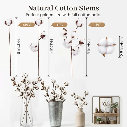 Vista 5 de DomeStar Tallos de Algodón 8 Paquetes con 15 Cápsulas, Flores Secas Naturales Ramitas de Algodón para Rellenos de Jarrones y Arreglos Florales