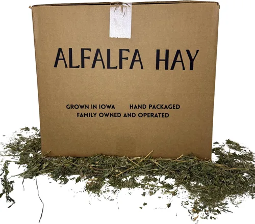 Vista 2 de Heno de alfalfa para conejos, cobayas, chinchillas, hámsters, jerbos y otros herbívoros pequeños. 12lb