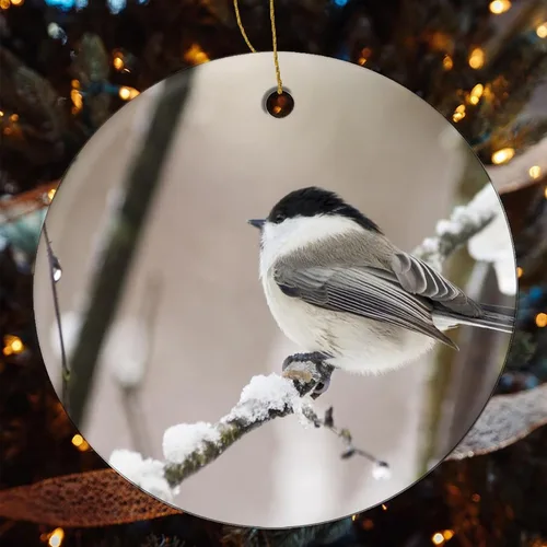 Vista 4 de Adornos para árbol de Navidad 2023 con diseño de sauce, pájaro, recuerdo de cerámica, decoración de árbol de Navidad, bola colgante de invierno
