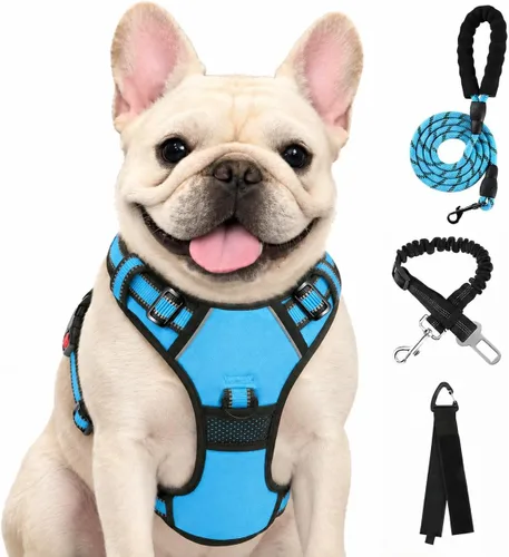 Vista 49 de FURRYFECTION - Arnés para perro a cuadros con correa y cinturón de Rosa