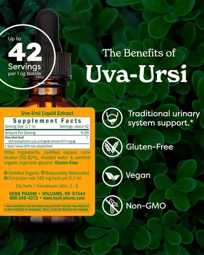 Vista 2 de Herb Pharm Uva Ursi Liquid Extra Count para soporte del sistema urinario, 1 oz