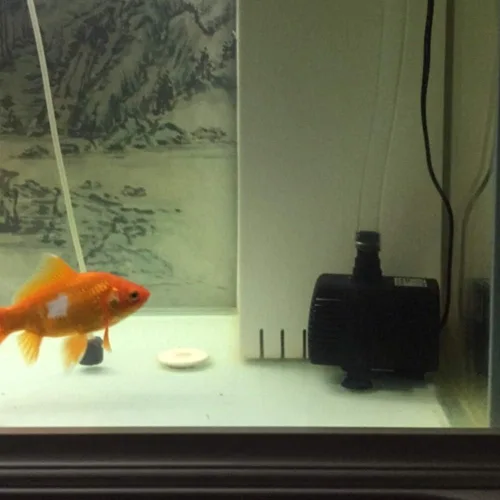 Vista 4 de Bomba de agua sumergible, USB 5V 1.6 ft 150 L, H Bomba de agua sin escobillas sin escobillas Dc sin escobillas para fuente de mascotas acuario