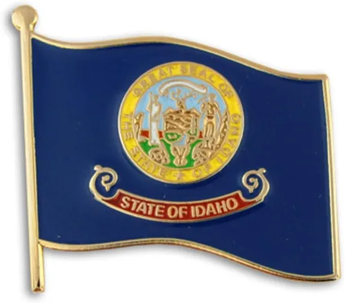 Vista 24 de PinMart Pin de solapa esmaltado con bandera del estado de EE. UU Chapado en oro de Alabama