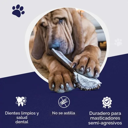Vista 3 de Devil Dog Pet Co. Cuernos de alce divididos para perros, masticables naturales para perros con médula expuesta, larga duración y sin olor