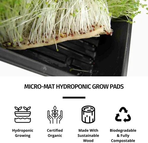 Vista 3 de Handy Pantry Micro-Mats Hydroponic Grow Pads para producción orgánica, paquete de 10 Germinación de plantas y semillas: pasto de trigo
