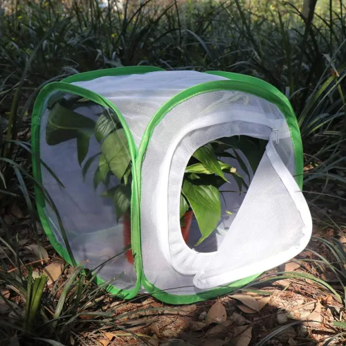 Vista 4 de RESTCLOUD Jaula de hábitat para insectos y mariposas con protección de cremallera, 12 x 12 x 12 pulgadas