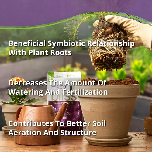 Vista 5 de Myco Bliss mezcla de hongos micorrícicos orgánicos (5 especies de endomicorrizas) para plantas