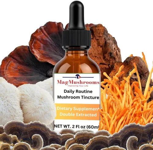 Vista 8 de Tintura de hongos de rutina matutina, alta potencia, doble extracción, 60 dosis diarias, melena de león y cordyceps
