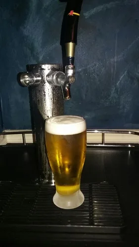Vista 9 de Kegerator Super Tower, enfriador (actualizado para máxima refrigeración)