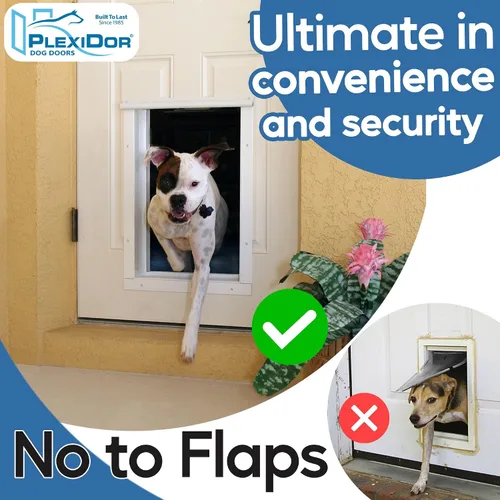 Vista 3 de PlexiDor Performance Pet Doors - Puerta electrónica para perros, montaje de puerta de bronce grande