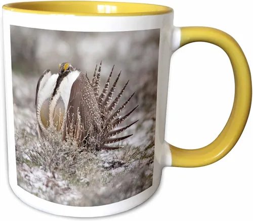 Vista 16 de 3dRose Taza de café, tamaño – 11oz – Faro de Cabo Blanco SP, Port Orford Oregon – US38 MGI0164 – Mark Gibson Lighthouses – divertido regalo de taza