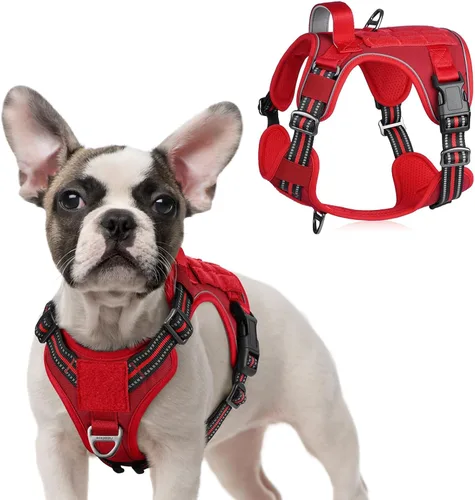 Vista 65 de rabbitgoo Arnés táctico para perros pequeños, chaleco de servicio militar sin tirones con asa y Molle, de fácil control para entrenar y caminar
