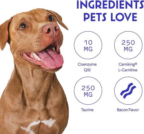 Vista 5 de Wonder Paws Apoyo cardiovascular para perros – Masticables cardiovasculares Salud del corazón, circulación, energía y control