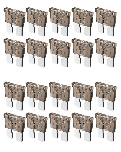 Vista 12 de Riseuvo 20 piezas Fusibles Estándar para Automóvil de 2A - Fusibles Automotrices de 2 AMPERIOS (ATO/APR/ATS), 32V (12/24V) Fusible de Cuchilla