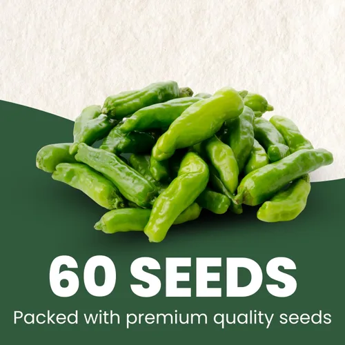 Vista 2 de Pimiento Shishito – 60 semillas premium para plantar – Pimiento especial dulce, sabroso y de alto rendimiento para la temporada 2026 – Bolsa de 500