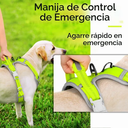 Vista 4 de ThinkPet Juego de arnés deportivo sin tirones, arnés deportivo transpirable con asa, chaleco de seguridad acolchado reflectante para perro