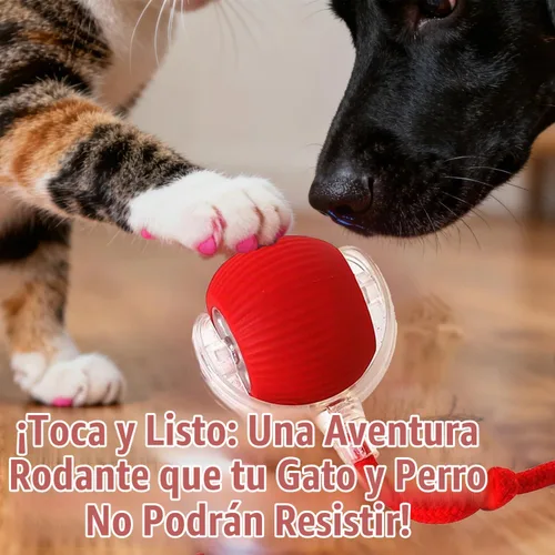 Vista 3 de 2025 Nuevos Juguetes Interactivos para Perros y Gatos, Bolas Interactivas, Juguete de Bola Rodante para Gatos, Bola de Mascota Automática