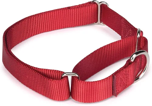 Vista 3 de Guardian Gear Collar de perro martingala de nailon, se adapta a cuellos de 10 a 16 pulgadas, color negro