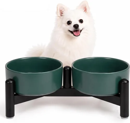 Vista 18 de Juego de cuencos elevados de cerámica para perros con soporte, 2 tazas de Negro