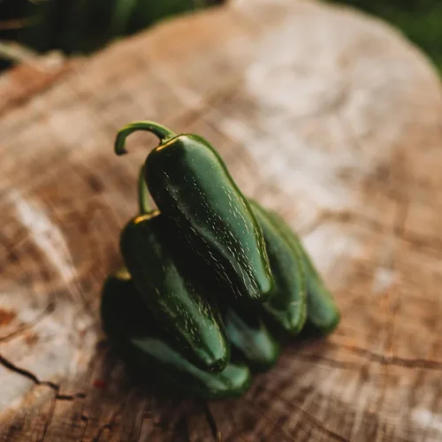 Vista 2 de Jalapeño Pimienta chile suave - 25 semillas - Variedad de reliquia y polinizada abierta, jalapeño domado, semillas de chile cultivadas en Estados