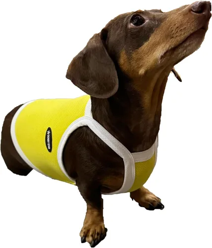 Vista 21 de D Doggy Star - Suéter de perro salchicha para perros, ropa de forro polar, abrigo de invierno (M, bolsillo azul marino)