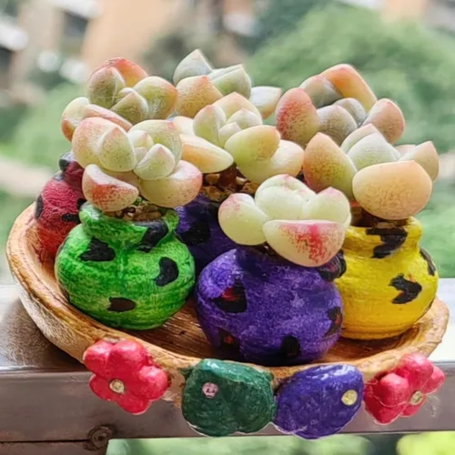 Vista 8 de Mini macetas de terracota – Macetas pequeñas de arcilla para suculentas, cactus, manualidades de bricolaje, jardín de hadas, proyectos escolares