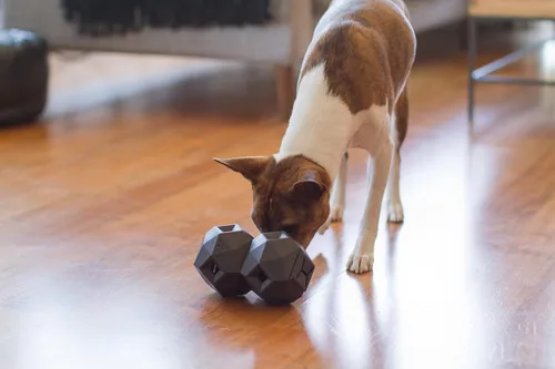 Vista 2 de Pelotas dispensadoras de golosinas para perros medianos y gatos, juguete interactivo para el juego propio, mejora la higiene oral, simulación mental