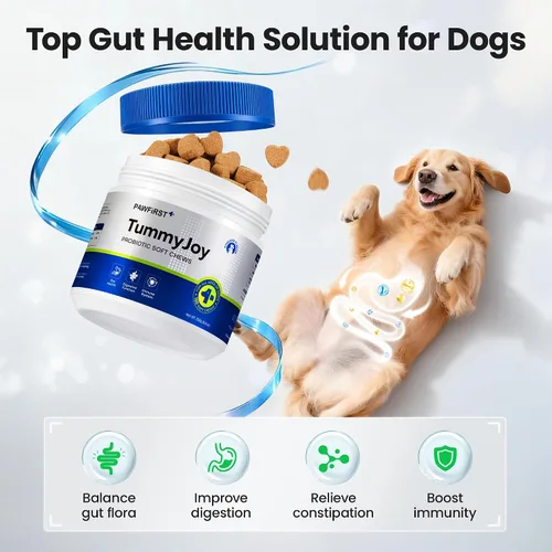 Vista 2 de Suplemento de probióticos masticables para perros, apoya la salud digestiva e intestinal, con prebióticos y enzimas para aliviar la diarrea