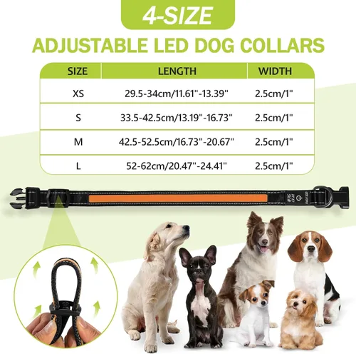 Vista 5 de Collares de perro iluminados recargables, collar de perro que brilla en la oscuridad, impermeable, collares de perro con luces LED intermitentes