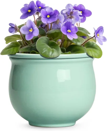 Vista 8 de Macetas de riego automático de 6 pulgadas para plantas de interior, macetas de cerámica violeta africana con maceta interior absorbente, maceta