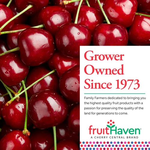 Vista 4 de fruitHaven Arándanos secos, totalmente naturales, sin gluten, sin perservantes, buena fuente de fibra, vitaminas y minerales, propiedad