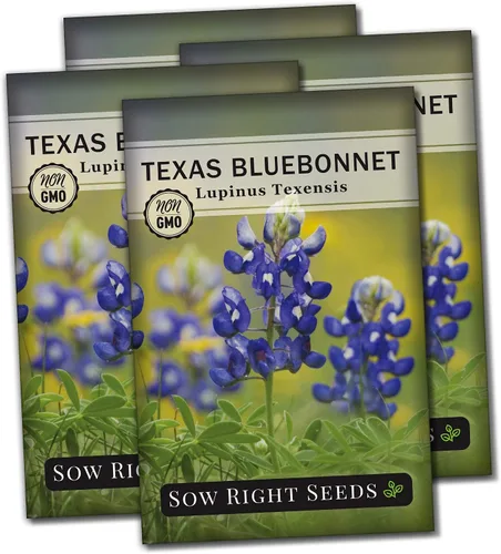 Vista 9 de Sow Right Seeds - Semilla de Bluebonnet de Texas para plantar jardín