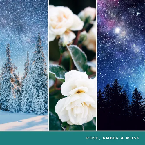 Vista 3 de Yankee Candle Winter Night Stars - Vela en vaso grande Rosa, ámbar, almizcle, doble mecha, para mujer