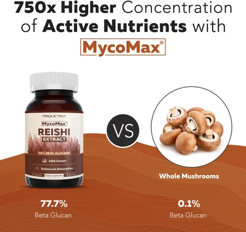 Vista 6 de Extracto orgánico de hongos Reishi - 70% de beta-glucanos - niveles más altos de nutrientes activos, potencia máxima, cultivo en Estados Unidos +