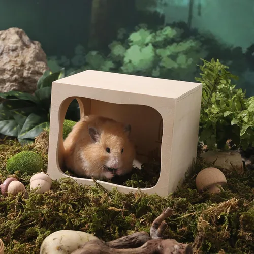 Vista 9 de Casa de madera para hámster, túnel de hábitat para mascotas