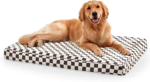 Vista 13 de JOEJOY Cama para Perros Medianos, Cama Ortopédica Grande para Perros con Funda Lavable Extraíble, Linda Cama de Felpa Moderna y Espuma Viscoelástica
