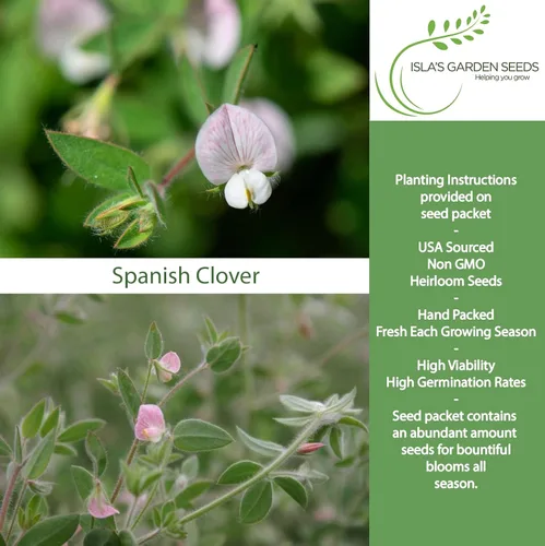Vista 2 de Semillas de flores de pie de pájaro americano "Spanish Clover" para plantar, más de 1000 semillas por paquete, semillas de jardín de Isla