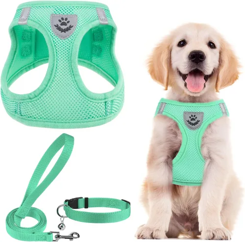 Vista 57 de PUPTECK - Arnés, collar y correa ajustables, sin tirones, para perros pequeños y medianos, cachorros y gatos, pechera reflectante acolchada de malla