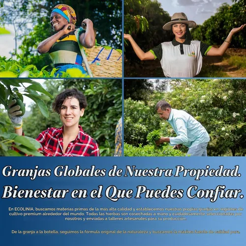 Vista 7 de Gotas de extracto de arándanos con luteína y zeaxantina para la salud ocular